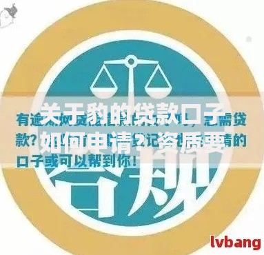 关于豹的贷款口子如何申请？资质要求与风险解析