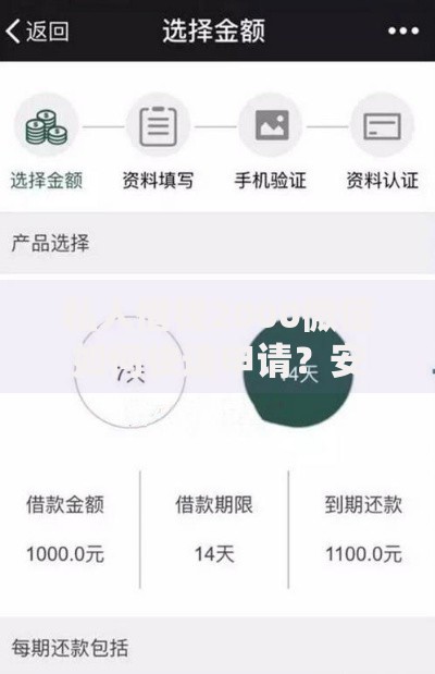 私人借钱2000微信如何快速申请？安全流程详解