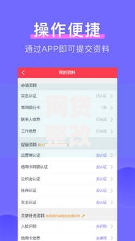 网贷整改什么口子下款？合规平台选择策略解析