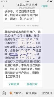 网络借款平台利息过高可以报警吗？法律维权与解决途径解析