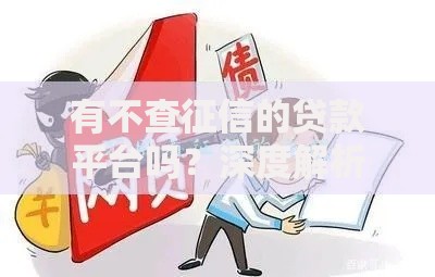 有不查征信的贷款平台吗？深度解析真实借贷渠道