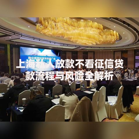 上海私人放款不看征信贷款流程与风险全解析