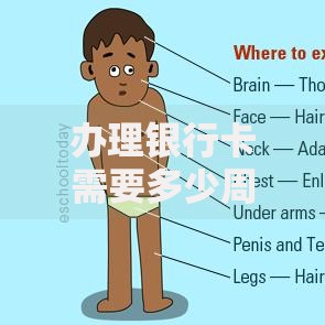 办理银行卡需要多少周岁？不同年龄段的申请条件全解析