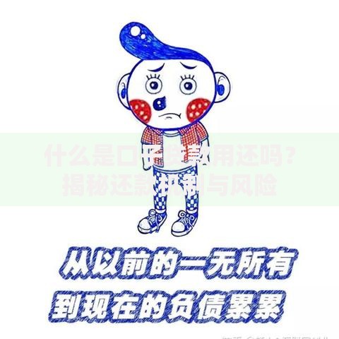 什么是口子贷款用还吗？揭秘还款机制与风险