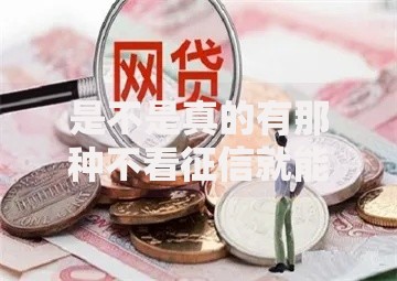 是不是真的有那种不看征信就能贷款的网贷平台？真相解析