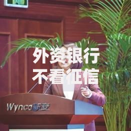 外资银行不看征信吗？贷款审批条件深度解析
