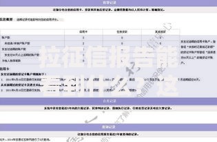拉征信报告能看到什么？这10个关键信息别忽略