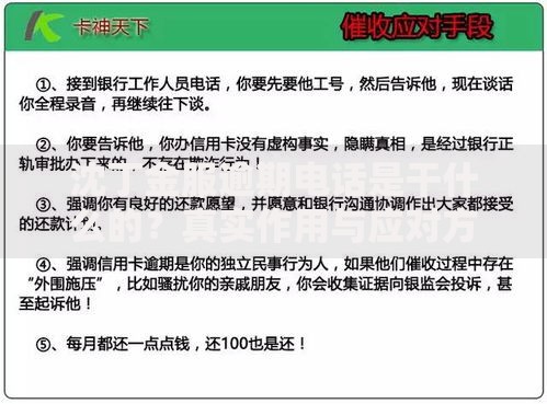 沈丁金服逾期电话是干什么的？真实作用与应对方法解析