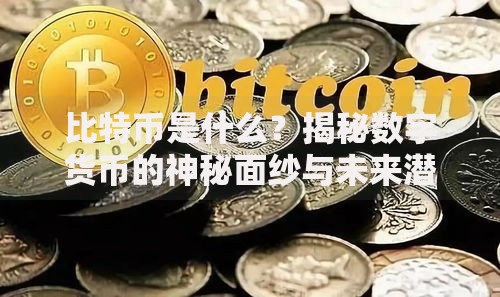 比特币是什么？揭秘数字货币的神秘面纱与未来潜力