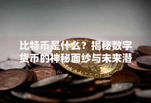 比特币是什么？揭秘数字货币的神秘面纱与未来潜力