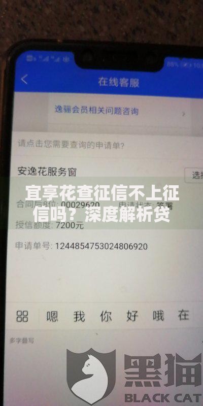 宜享花查征信不上征信吗？深度解析贷款征信问题