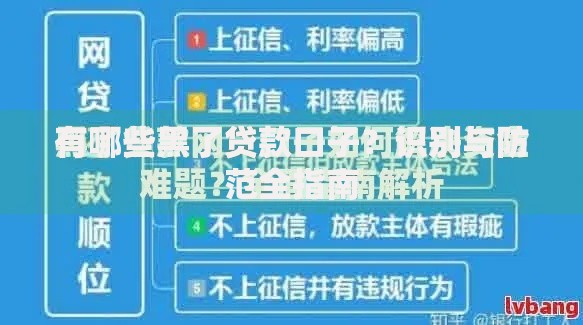 有哪些黑了贷款口子？识别与防范全指南