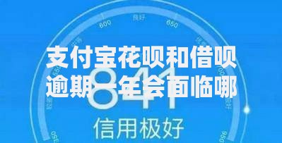 支付宝花呗和借呗逾期一年会面临哪些影响？如何补救？