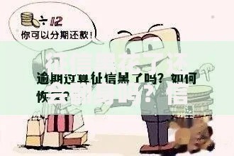 征信黑花了还会翻身吗?信用修复实战指南 征信黑花了还会翻身吗?信用修复实战指南