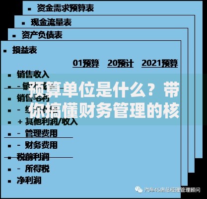预算单位是什么？带你搞懂财务管理的核心概念