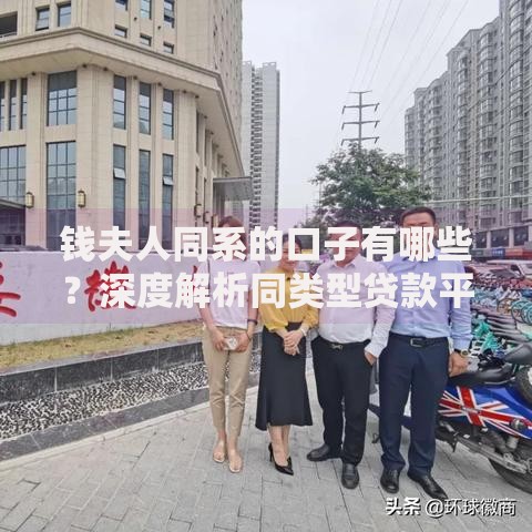 钱夫人同系的口子有哪些？深度解析同类型贷款平台