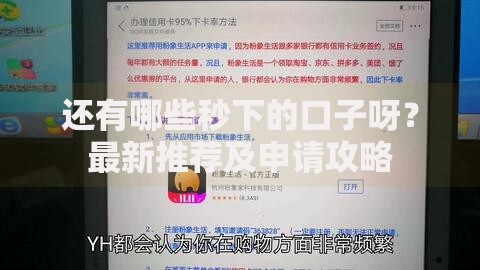 还有哪些秒下的口子呀？最新推荐及申请攻略