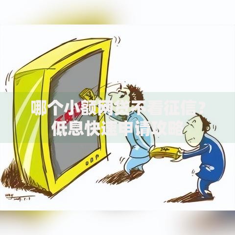 哪个小额网贷不看征信？低息快速申请攻略