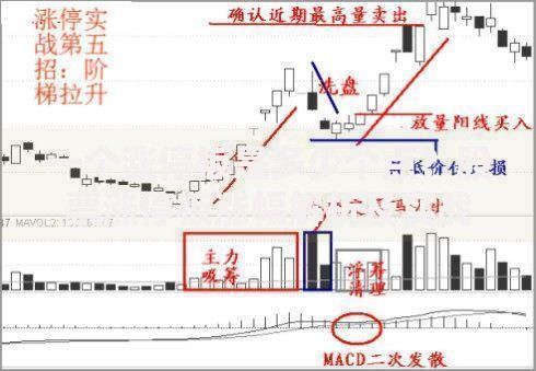 一个涨停板是多少个点？股票涨停板涨幅解析及实战应用技巧