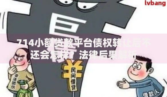 714小额贷款平台债权转让后不还会怎样？法律后果解析