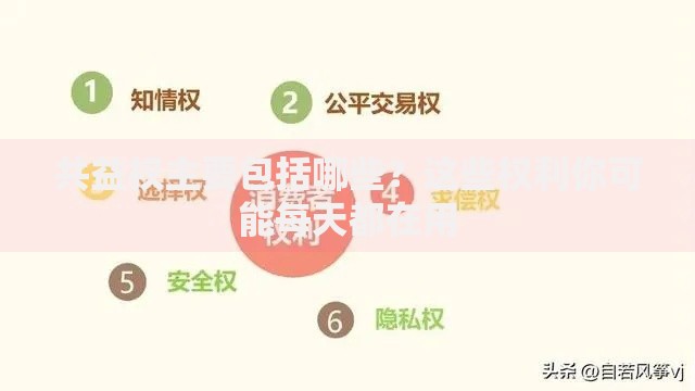 共益权主要包括哪些？这些权利你可能每天都在用