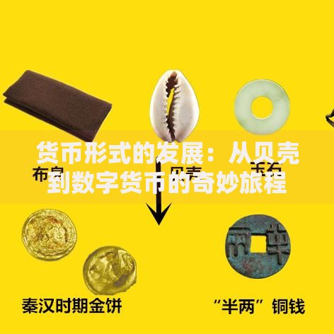货币形式的发展：从贝壳到数字货币的奇妙旅程
