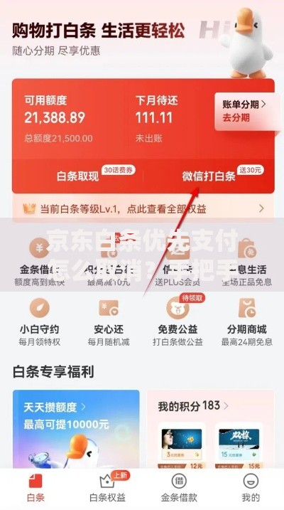 京东白条优先支付怎么取消？手把手教你关闭默认设置
