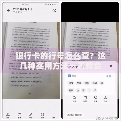 银行卡的行号怎么查？这几种实用方法一看就会