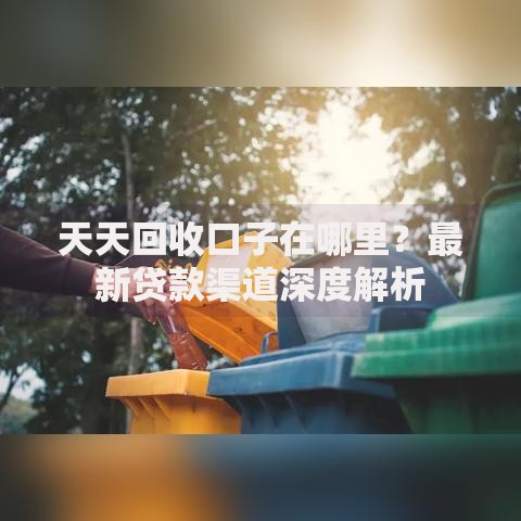 天天回收口子在哪里？最新贷款渠道深度解析