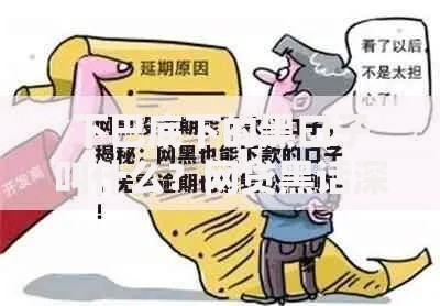 下巴底下的黑口子叫什么？网贷黑话深度解析
