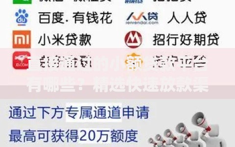 直接通过的小额贷款平台有哪些？精选快速放款渠道推荐