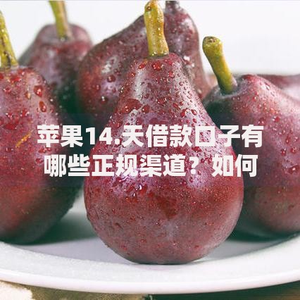 苹果14.天借款口子有哪些正规渠道？如何安全申请？