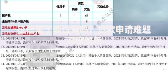 征信黑了能过海吗？贷款申请难题深度解析