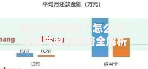金融消费逾期了怎么办？后果与解决策略全解析