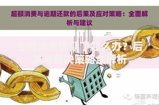 金融消费逾期了怎么办？后果与解决策略全解析