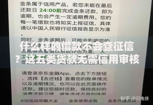 什么样的借款不会查征信？这五类贷款无需信用审核