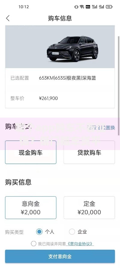 哪个app购车不看征信？低门槛车贷平台深度解析