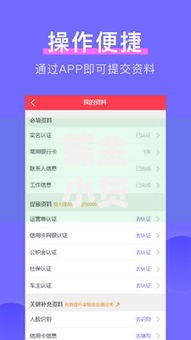 蝶金小贷下款容易嘛？审核流程与用户反馈全解析