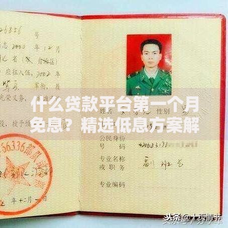 什么贷款平台第一个月免息？精选低息方案解析
