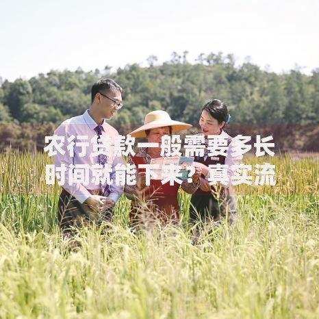 农行贷款一般需要多长时间就能下来?真实流程和影响因素分析 农行贷款一般需要多长时间就能下来?真实流程和影响因素分析
