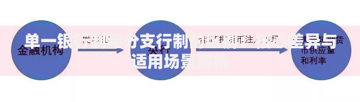 单一银行制和分支行制的区别：核心差异与适用场景解析