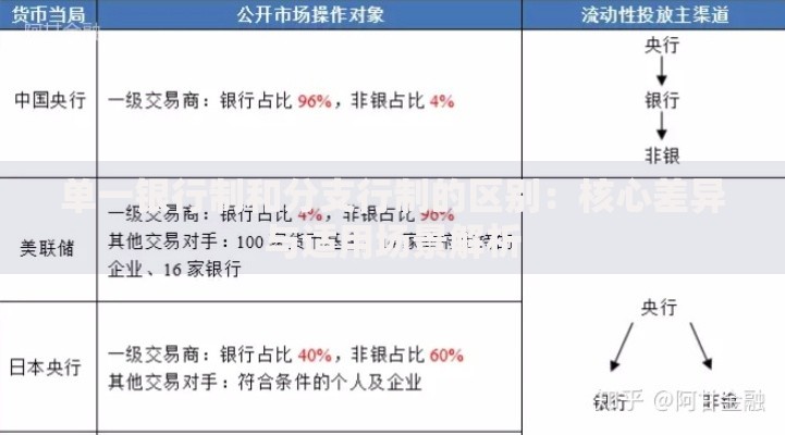 单一银行制和分支行制的区别：核心差异与适用场景解析