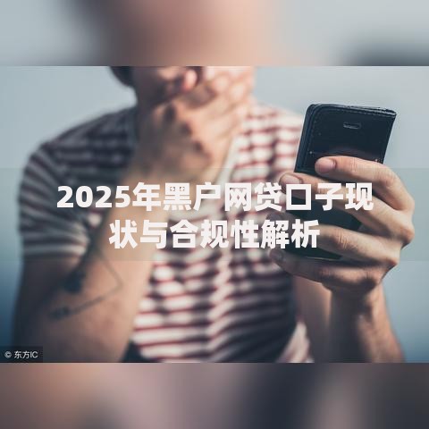 2025年黑户网贷口子现状与合规性解析