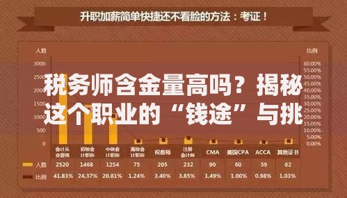 税务师含金量高吗？揭秘这个职业的“钱途”与挑战