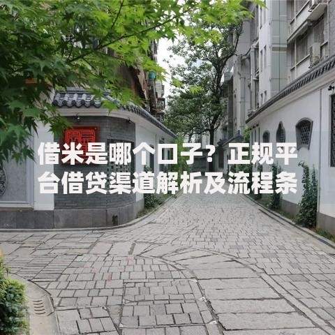 借米是哪个口子?正规平台借贷渠道解析及流程条件详解 借米是哪个口子?正规平台借贷渠道解析及流程条件详解