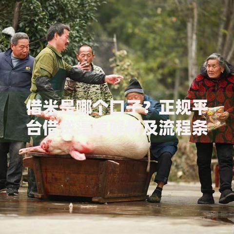 借米是哪个口子?正规平台借贷渠道解析及流程条件详解 借米是哪个口子?正规平台借贷渠道解析及流程条件详解