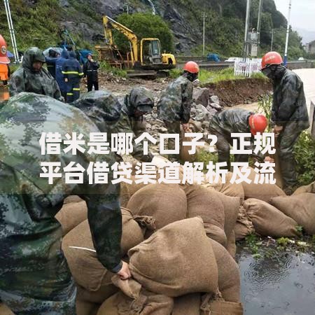 借米是哪个口子?正规平台借贷渠道解析及流程条件详解 借米是哪个口子?正规平台借贷渠道解析及流程条件详解