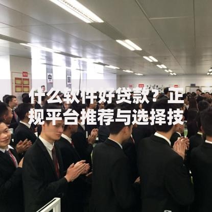 什么软件好贷款?正规平台推荐与选择技巧全解析 什么软件好贷款?正规平台推荐与选择技巧全解析