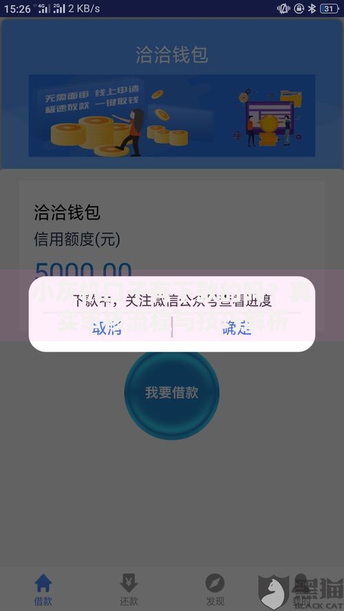 小灰机口子有下款的吗?真实审核流程与技巧解析 小灰机口子有下款的吗?真实审核流程与技巧解析