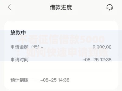 不看征信借款5000：如何快速申请到账？